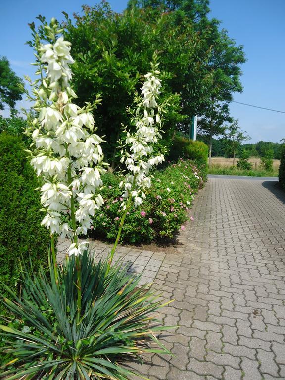 Das Fritz Hotel Schwerin Schoene Lage Im Gruenen Mit Regionaler Kueche Kostenfreien Parkplaetzen Und E Ladestation Eksteriør billede